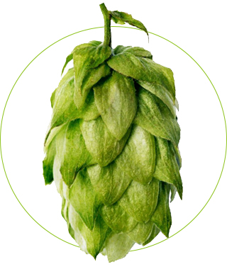 Aroma-Hop
