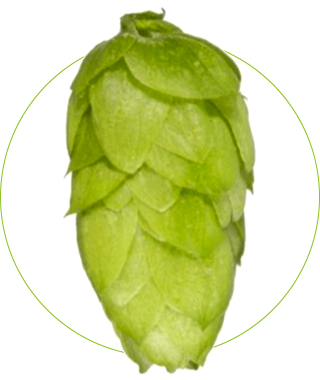 Dual-Hop